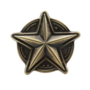 3d Star Metal Pin